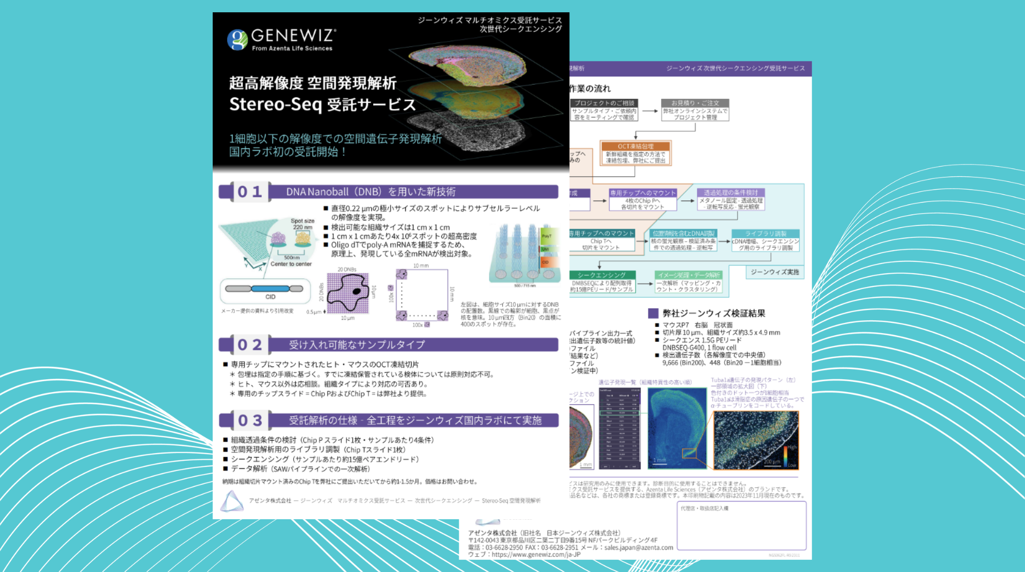 Resources | GENEWIZ from Azenta Life Sciences